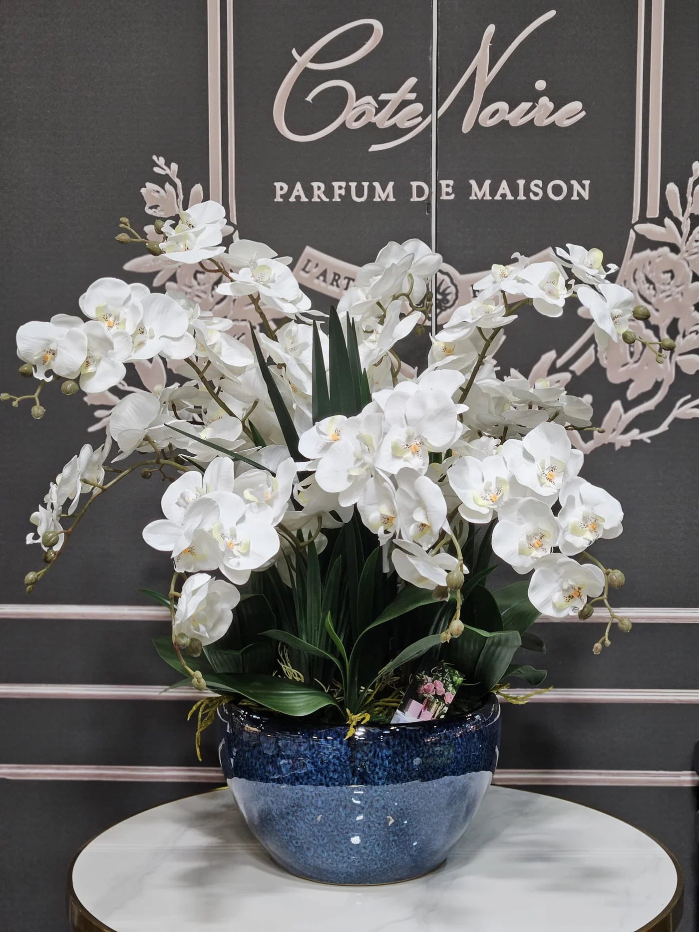 Luxury Giant Orchid Bouquet - Ceramic Pot - Ivory White