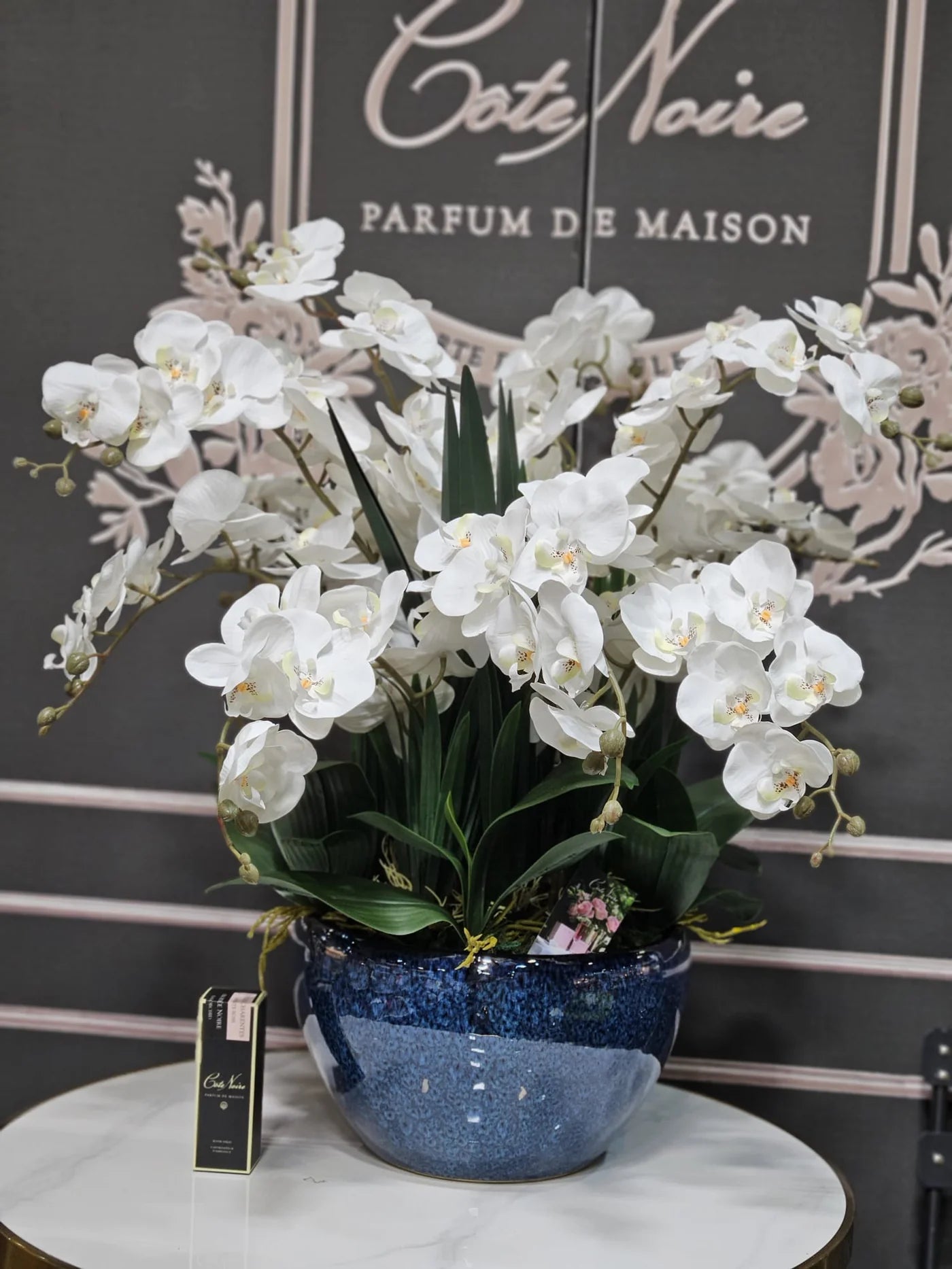 Luxury Giant Orchid Bouquet - Ceramic Pot - Ivory White