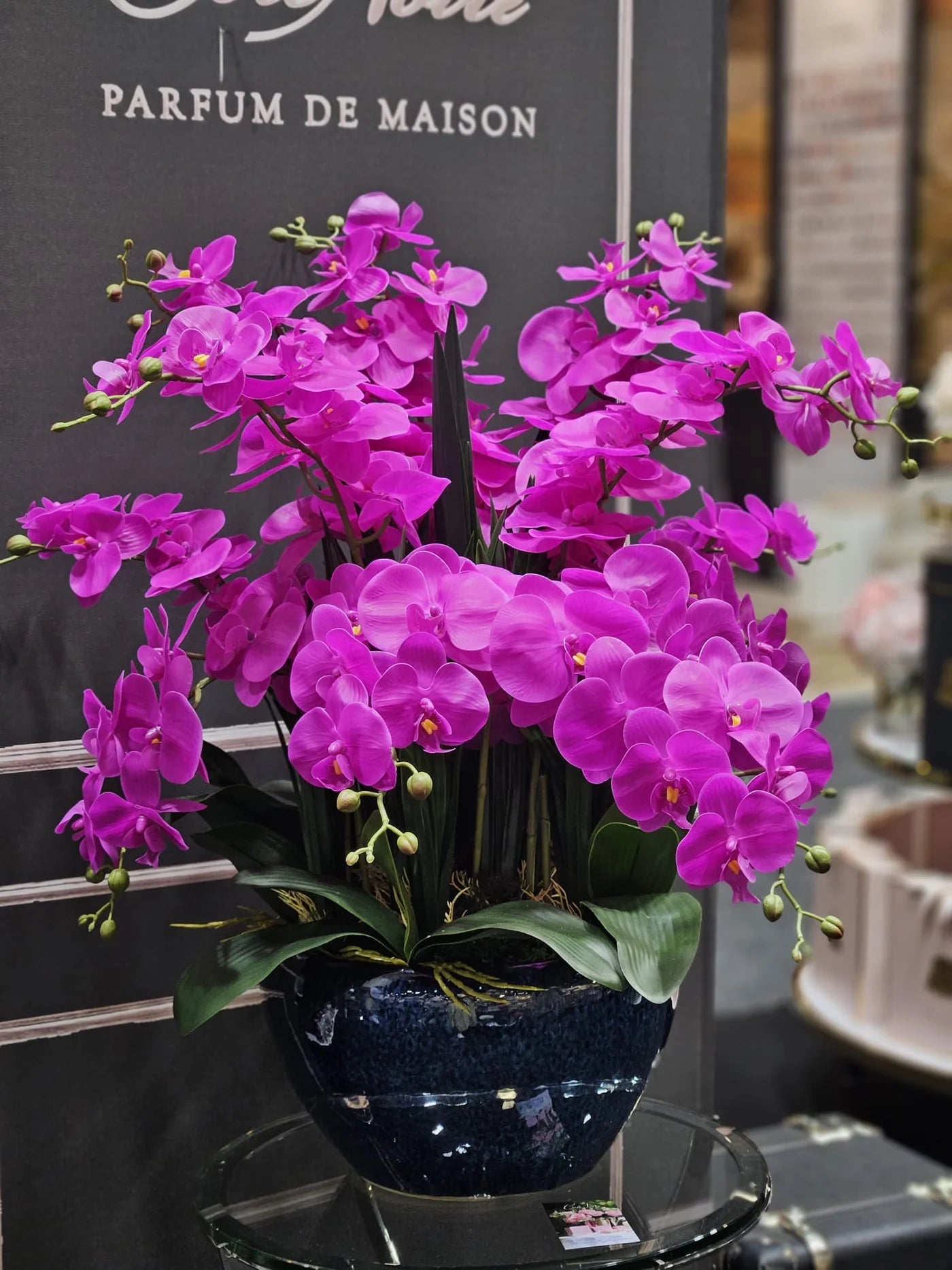 Luxury Giant Orchid Bouquet - Ceramic Pot - Fuchsia