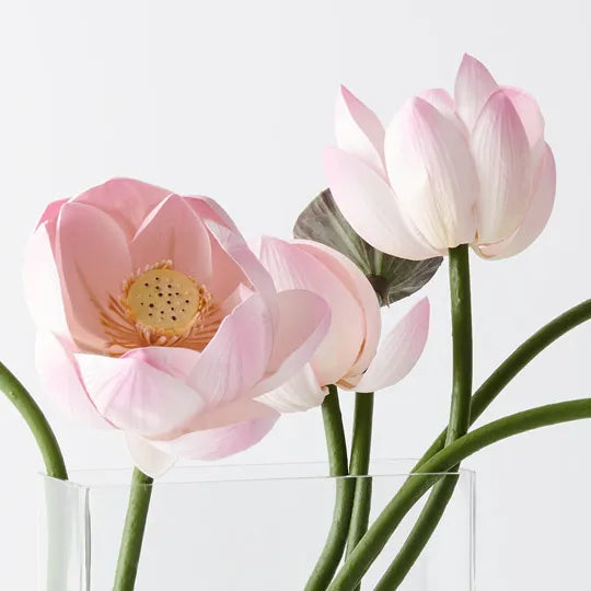 Lotus Mix in Vase 51cm