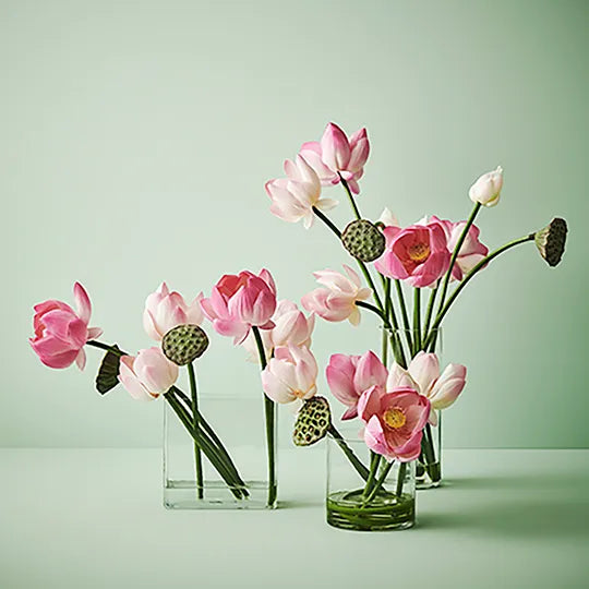 Lotus Mix in Vase 51cm