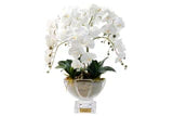 Scented Centerpiece Orchid Bouquet - Ivory White