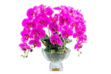 Scented Centerpiece Orchid Bouquet - Fushia