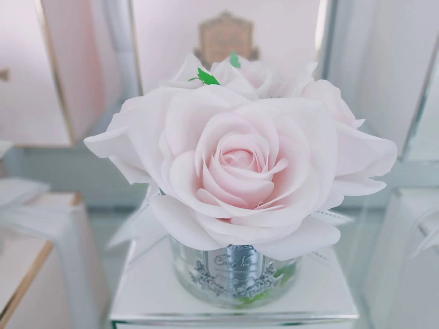 Five Roses - French Pink