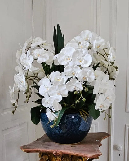 Luxury Giant Orchid Bouquet - Ceramic Pot - Ivory White