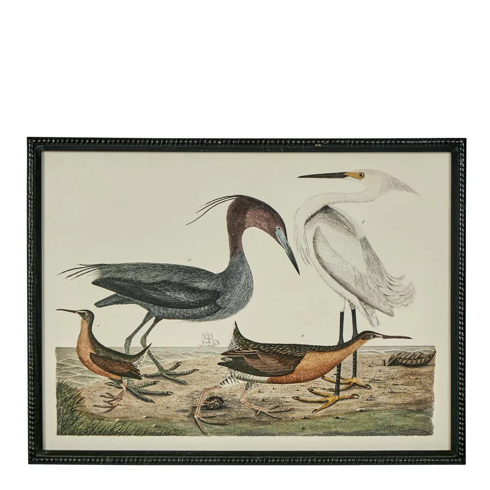 Graceful Cranes 2