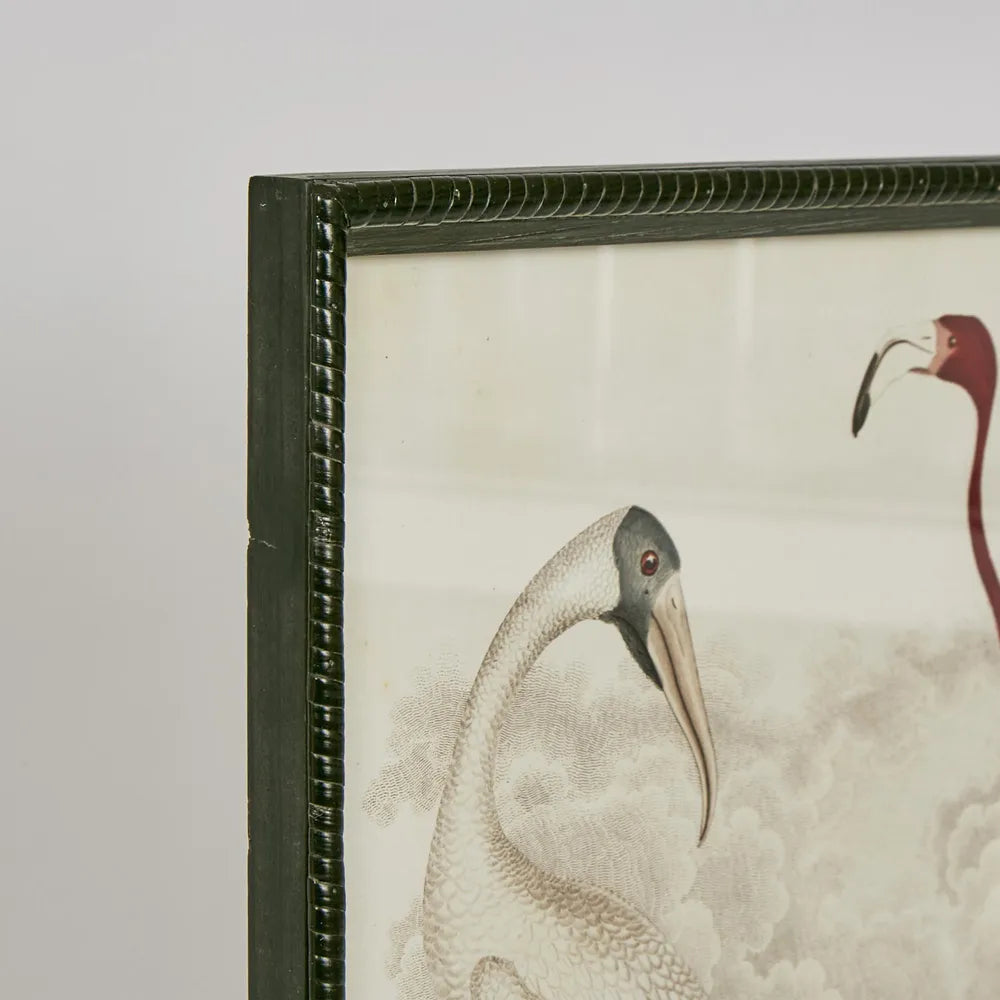 Graceful Cranes