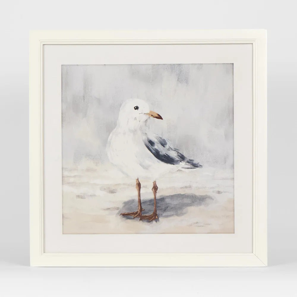 Seagull