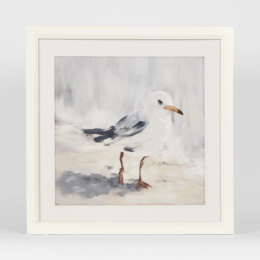 Seagull B